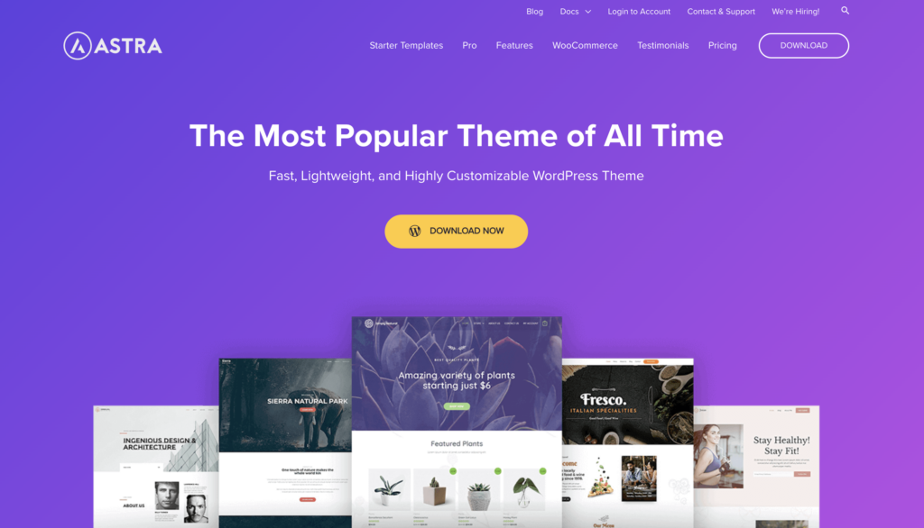 RTL WordPress Themes